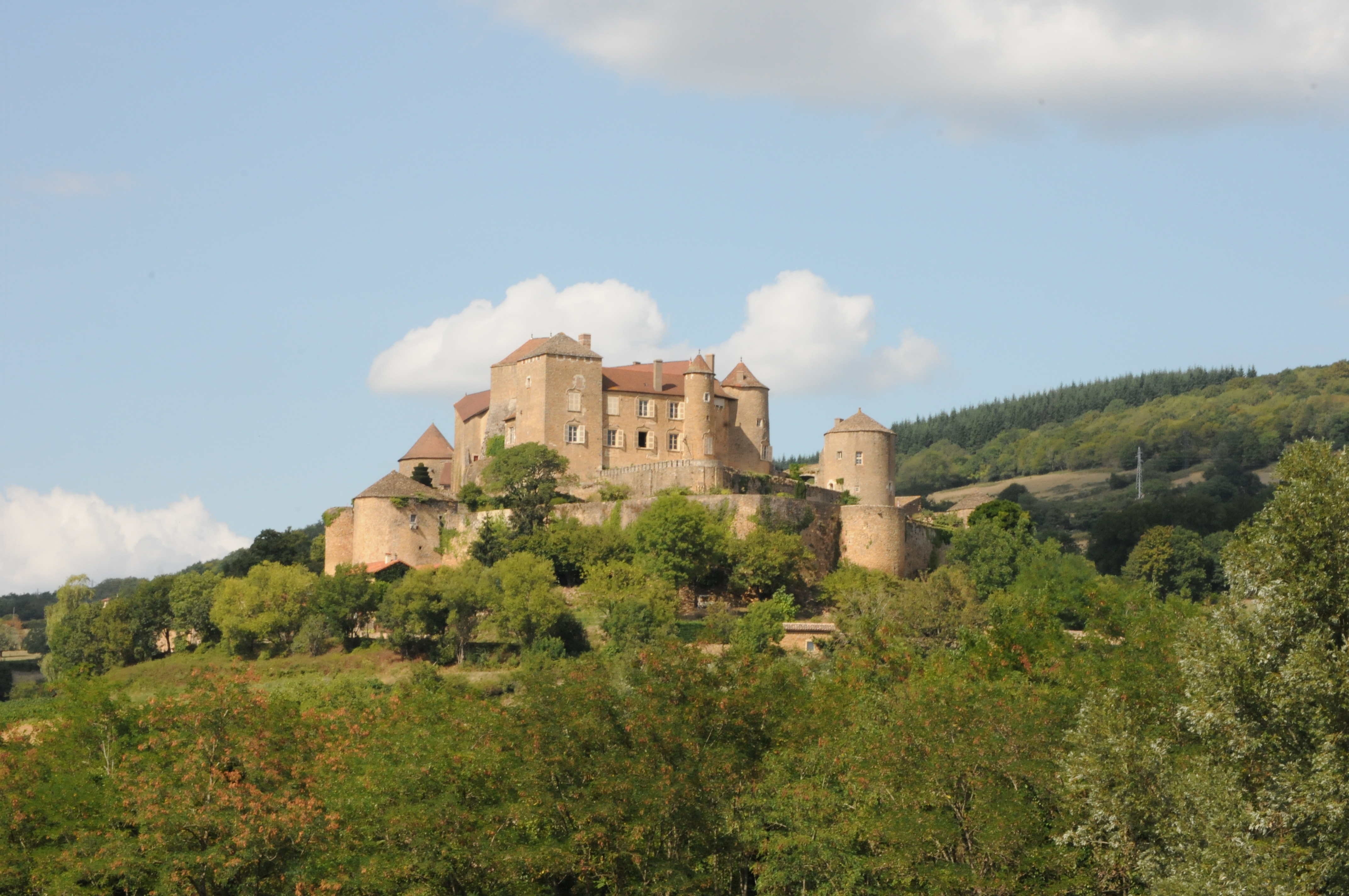 Berzé-Ch château-vue-ouest.jpg