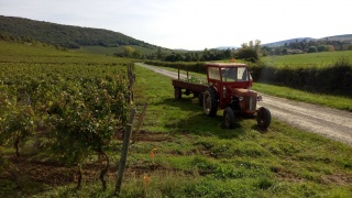 Tracteur à Igé.jpeg