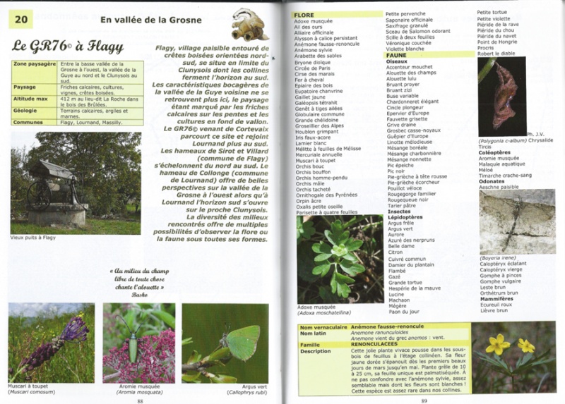 Fichier:Flagy Nature.jpg