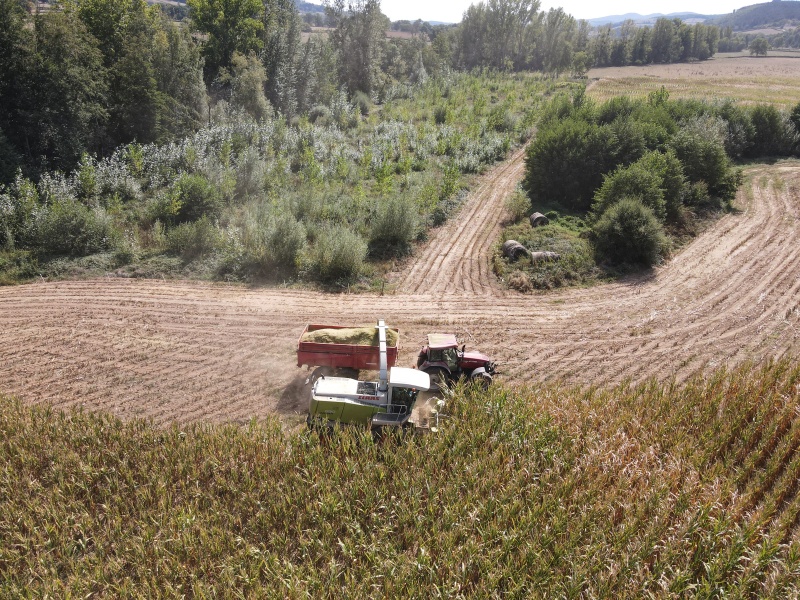 Fichier:NAVOUR agriculture-3.JPG