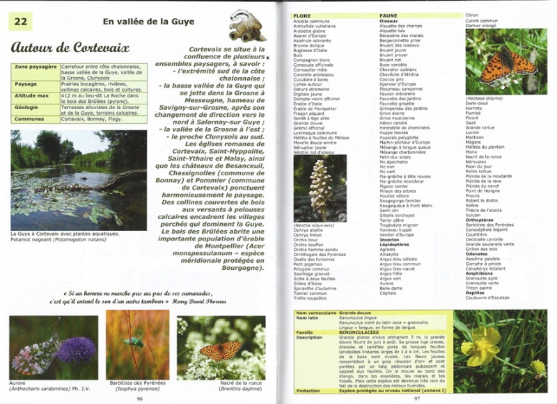 Fichier:Cortevaix Nature-Docs.jpg