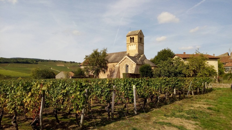 Fichier:Vue de l'église à Igé.jpeg