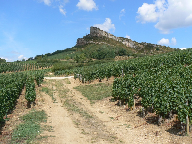 Fichier:Solutre--Roche-Vignes.JPG