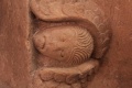 SaintAmourEglise (92).JPG