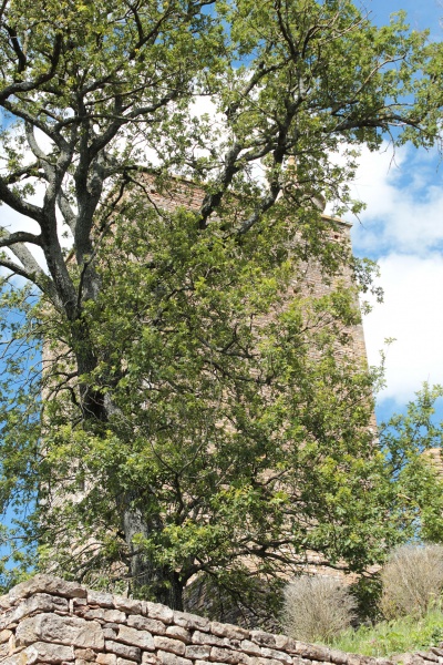 Fichier:BrancionChâteau (140).JPG