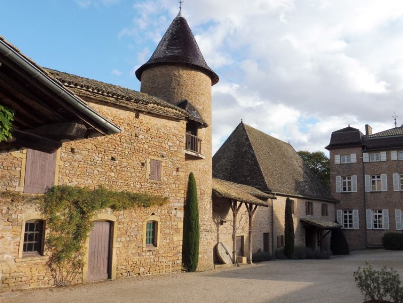Fichier:ChasselasClJLMchâteau2PSB.jpg