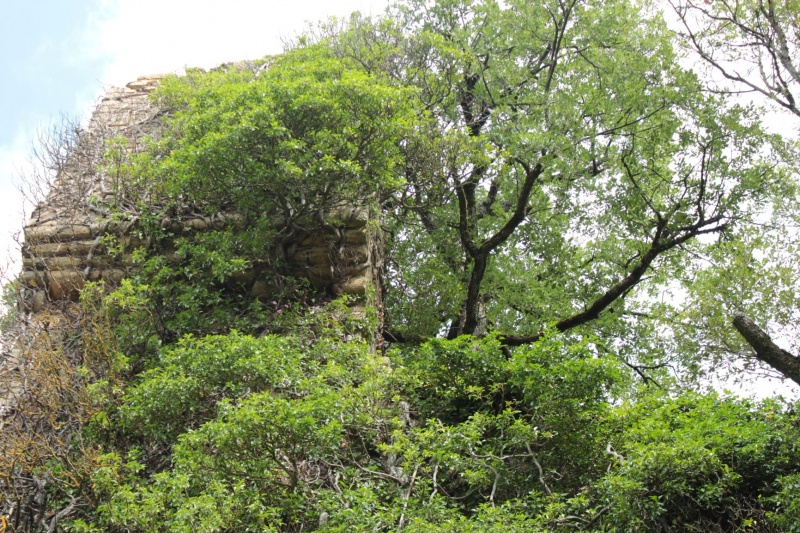 Fichier:LournandChâteau (4).JPG