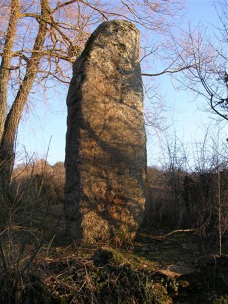 Fichier:Grand menhir de St-Clément-sur-Guye.jpeg