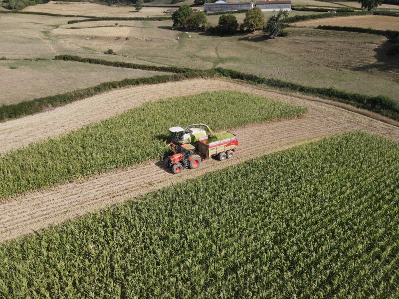 Fichier:NAVOUR agriculture.JPG