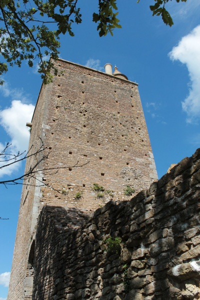 Fichier:BrancionChâteau (54).JPG