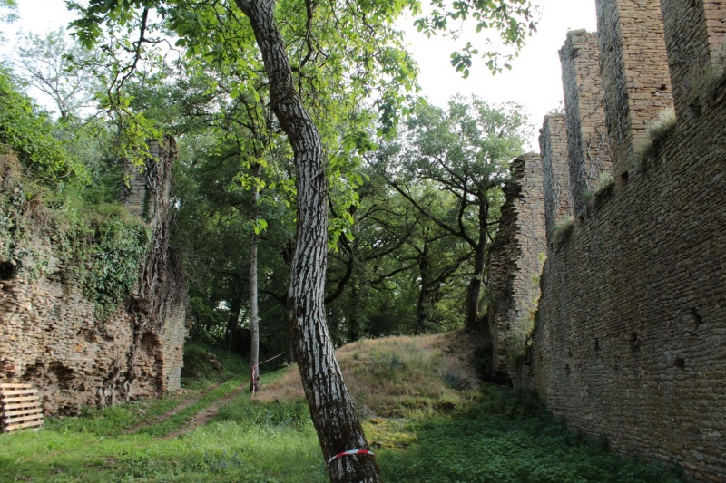Fichier:LournandChâteau (47).JPG