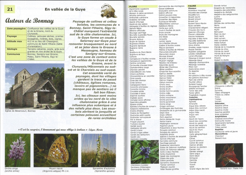 Fichier:Bonnay-Nature.jpg