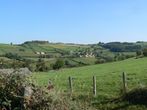 SPLV--paysage-bocage.JPG