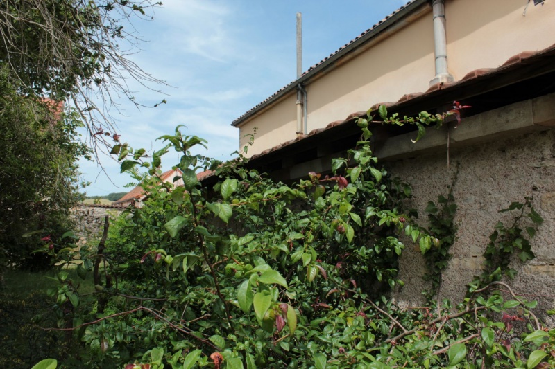 Fichier:FlagyEgliseExt (13).JPG