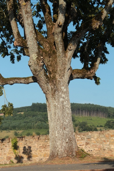 Fichier:BuffièresEgliseExt (33).JPG