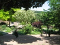 Azé-parc 2.jpg