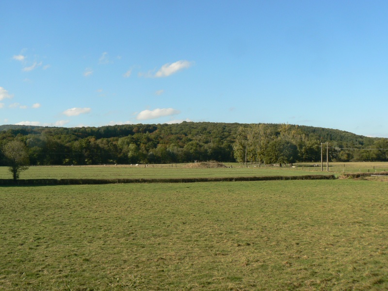 Fichier:Jalogny--prairies.JPG