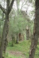 LournandChâteau (31).JPG