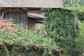 AmeugnyGrangeSercy (24).JPG