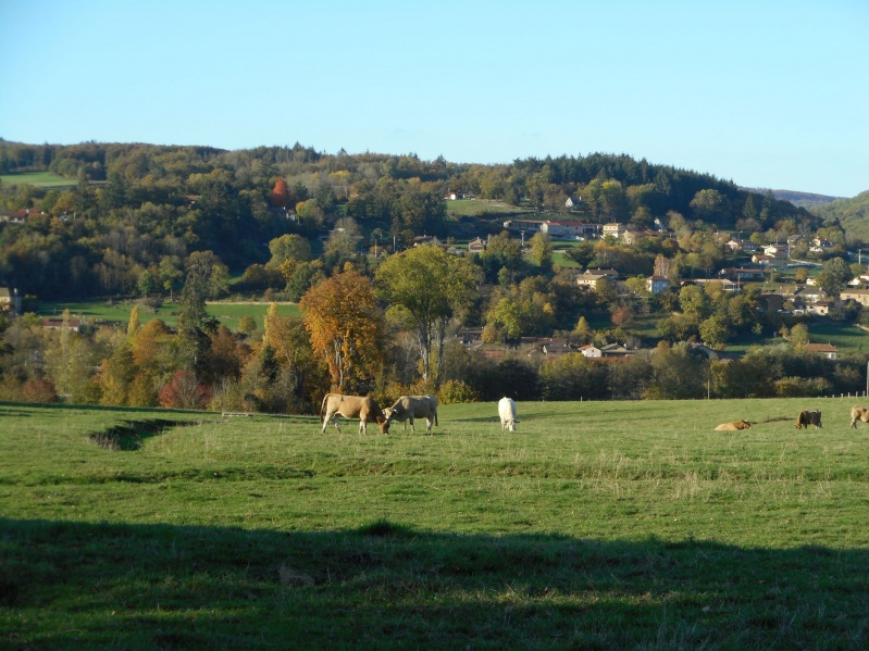 Fichier:CLERMAIN elevage (2).JPG