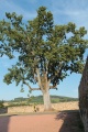 BuffièresEgliseExt (32).JPG