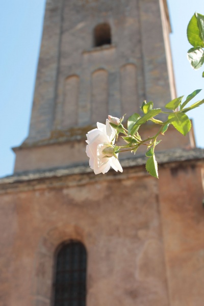 Fichier:SaintVincentEgliseExt (54).JPG
