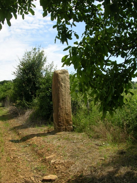 Fichier:Petit menhir St-Clément-sur-Guye.jpeg