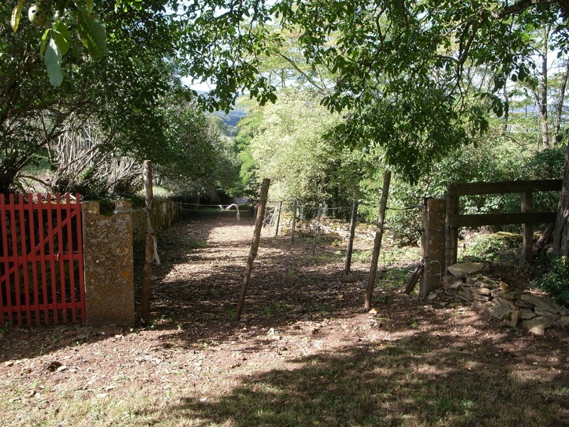 Fichier:MazilleDoyennéExt (55).JPG