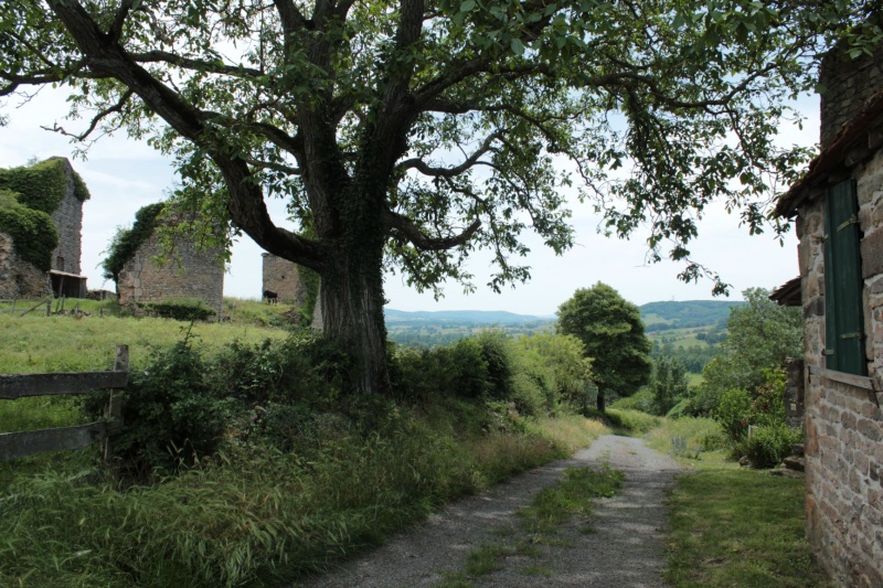 Fichier:SigyChâteauRuines (3).JPG