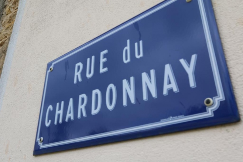Fichier:Rue du Chardonnay.jpeg