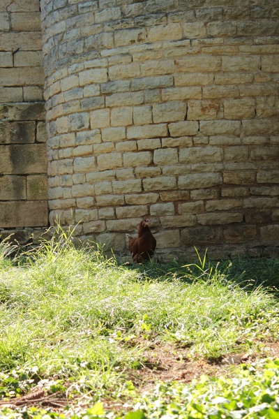 Fichier:SaintGengouxEgliseExt (24).JPG