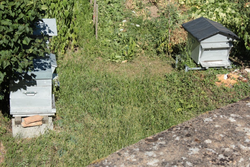 Fichier:PassyEgliseExt (38).JPG