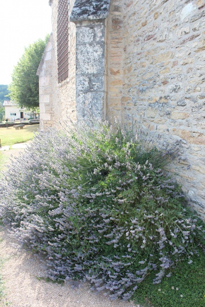 Fichier:SancéEgliseStPaul (37).JPG