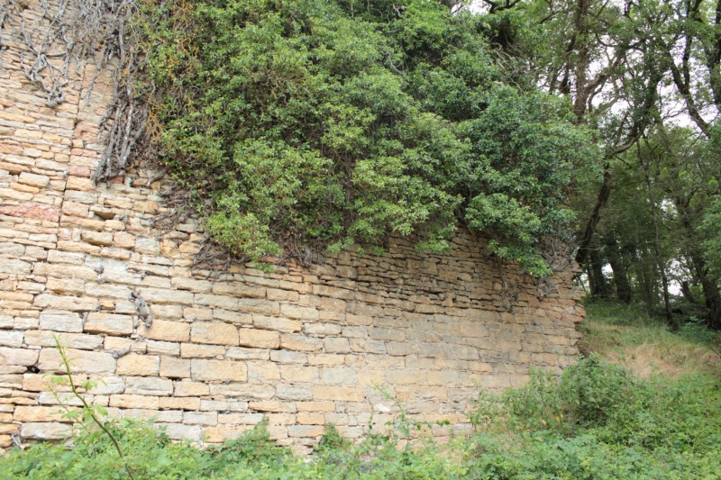 Fichier:LournandChâteau (78).JPG
