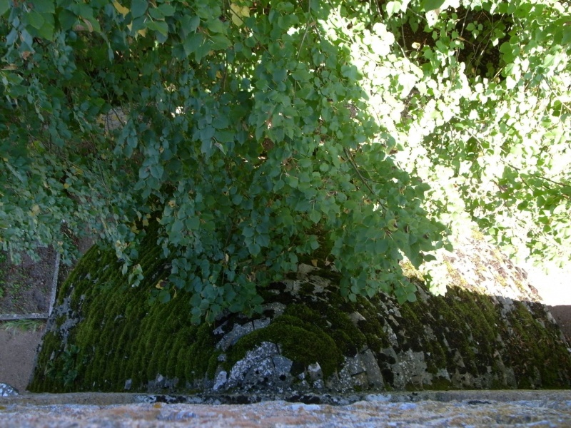 Fichier:MassyEgliseClocher (20).JPG