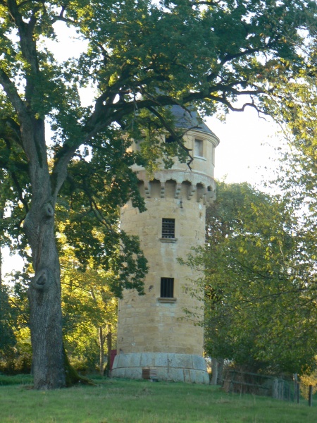 Fichier:Brandon--Tour-château-Esmyards.JPG