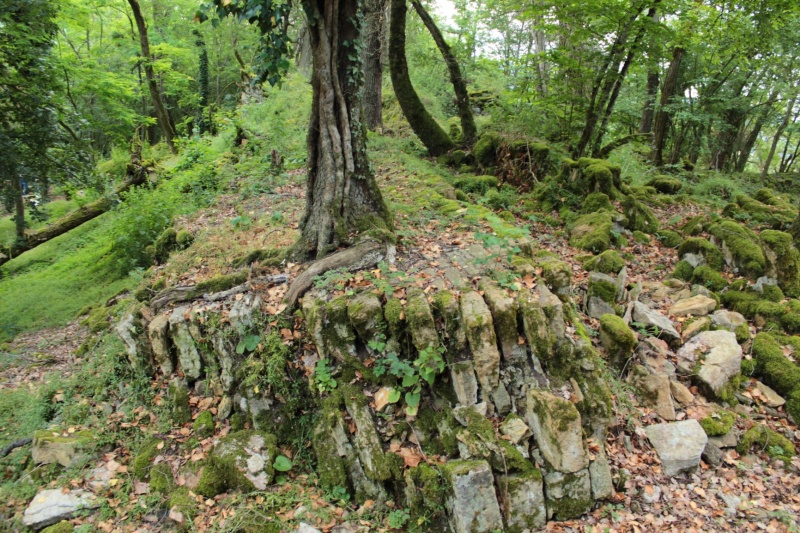 Fichier:LournandChâteau (29).JPG