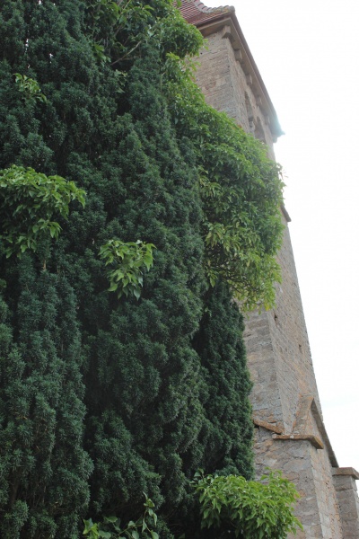 Fichier:VauxEgliseExt (39).JPG