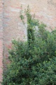 SaintGengouxEgliseExt (40).JPG