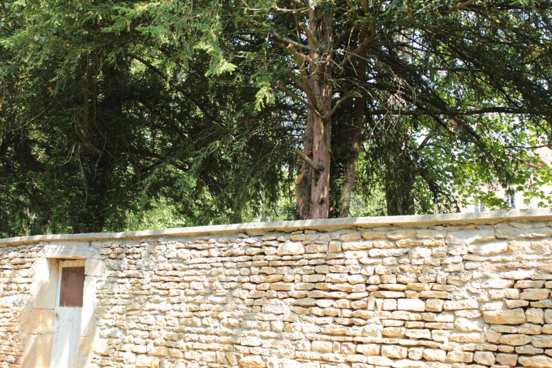 Fichier:SaintPointEgliseExt (107).JPG