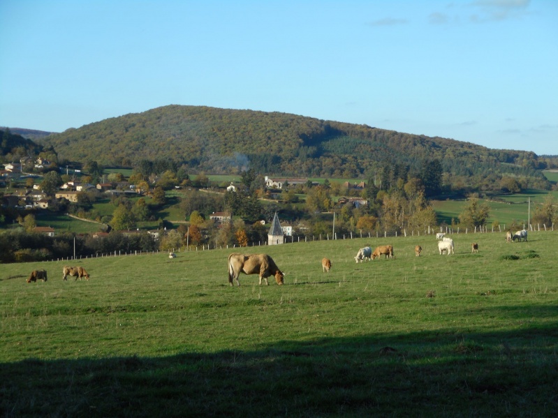 Fichier:CLERMAIN elevage.JPG